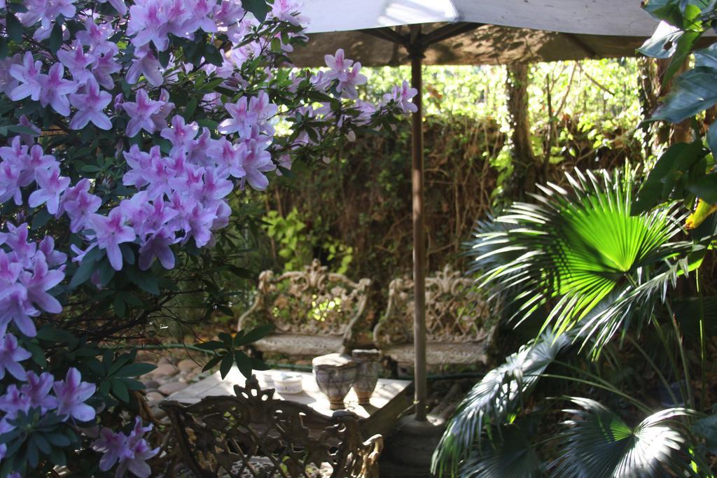 La Casona De Grace Bed & Breakfast Olivos Exterior photo