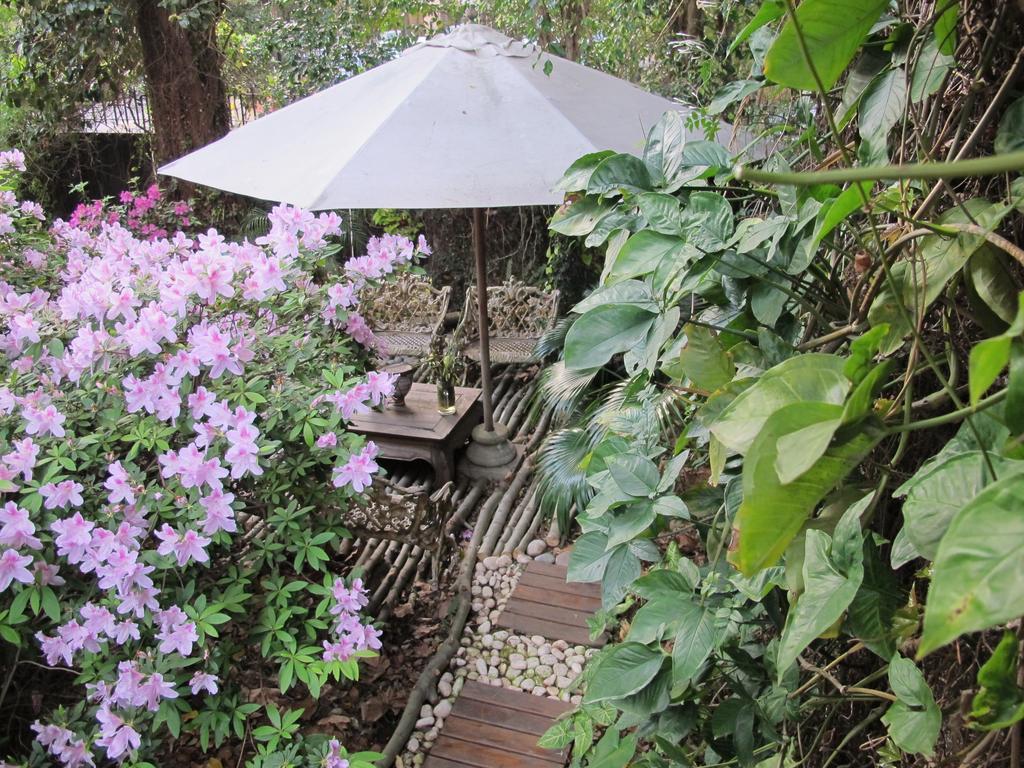 La Casona De Grace Bed & Breakfast Olivos Exterior photo